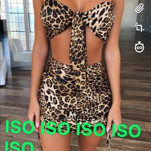 Please help!!! ISO leopard cheetah set!!